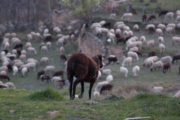 Resultados del I Concurso de fotos de Garcimolina