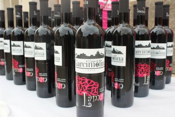 Fotos de las fiestas 2019