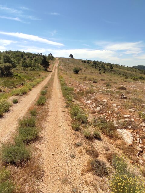 Recorriendo la sierra