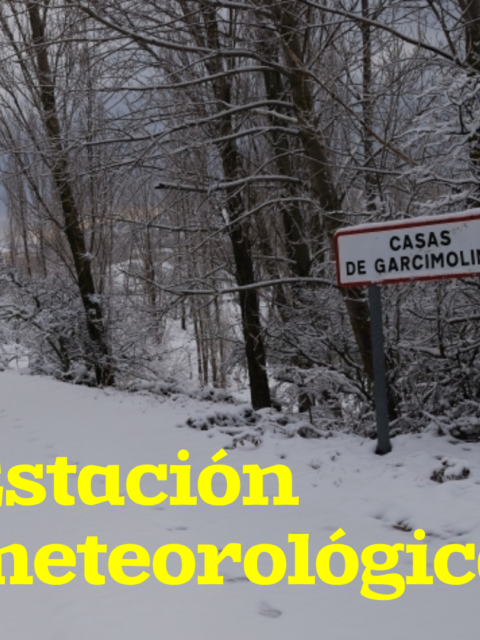 Estación meteorológica – Datos actuales