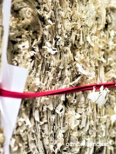 Historia de los Archivos municipales