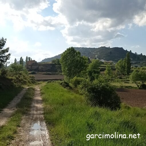 3 Lustros de Garcimolina.net