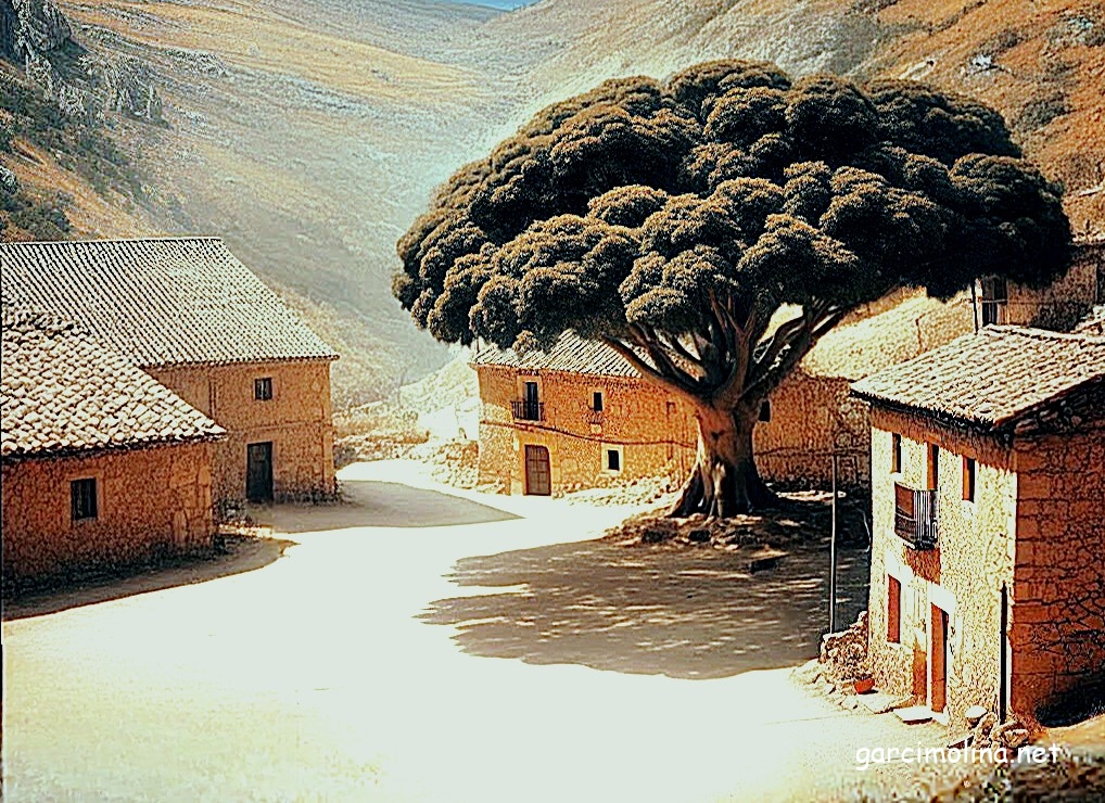 El Olmo como eje central del pueblo