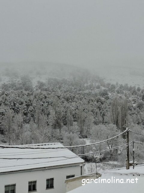 Fotos de la nevada 28 de enero de 2026