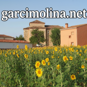 Adolfo Pastor en la Cadena Ser