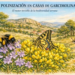 La polinización en Casas de Garcimolina
